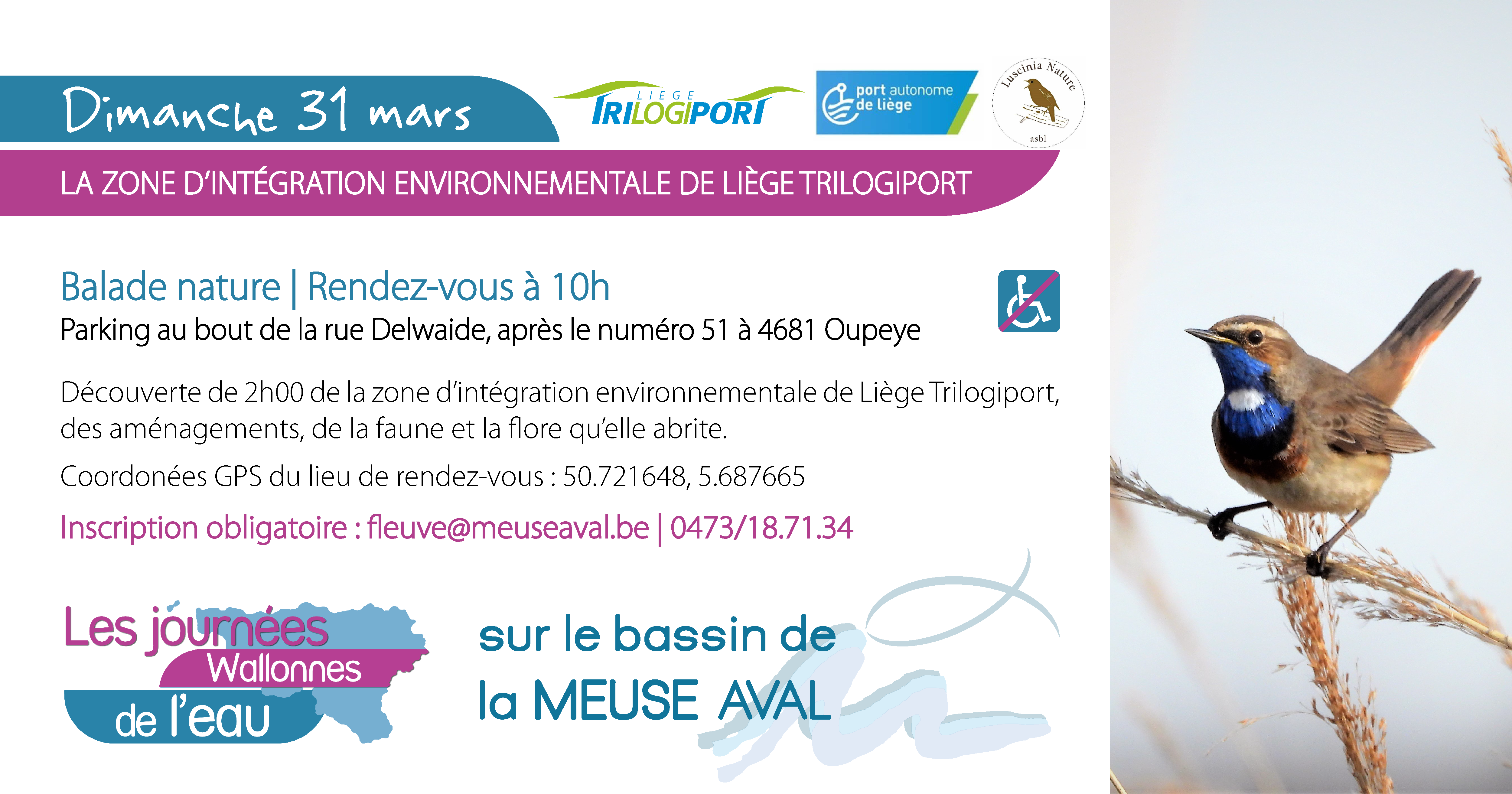 20240331 Journées wallonnes de l'eau - Balade Zone d'intégration environnementale Trilogiport - 35. 